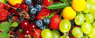 Fresh Fruits Export Import